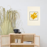 Product mockup - Celovisual product thumbnail