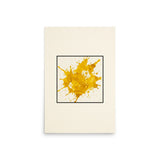 Product mockup - Celovisual product thumbnail