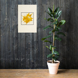 Product mockup - Celovisual product thumbnail